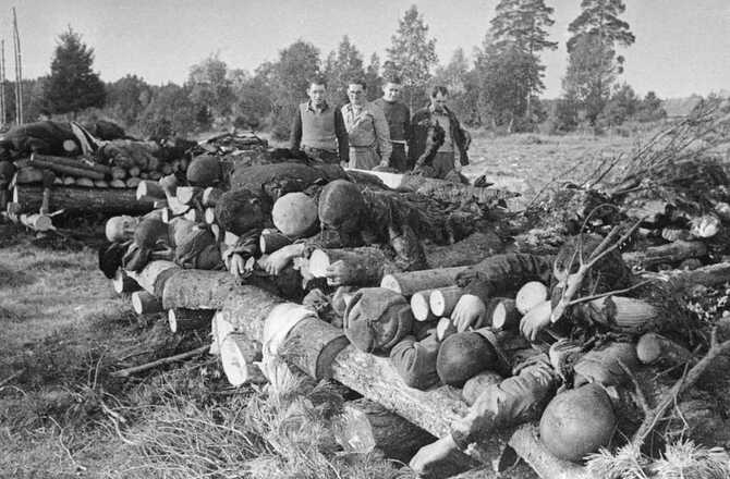 Отступая, под ударами Красной Армии, немецко-
фашистские захватчики уничтожали заключенных
нацистского концентрационного лагеря Клоога.